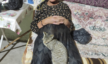 Bir Olalım