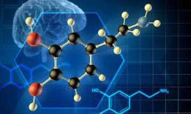  Dünyayı Hormonlar Yönetiyor