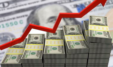2024 Yılı Sonunda Dolar Kaç TL Olacak