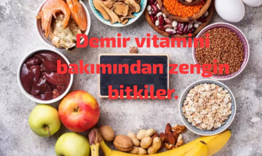 Demir Vitamini Bakımından  Zengin Bitkiler