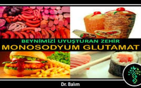 Monosodyum Glutamat : Çin Tuzu tehlikesi