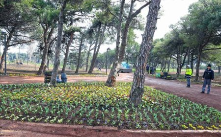 General Balcı Parkı: Bandirmada