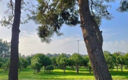 Meteoroloji uyardı:Yağmur ve Kar Bastıracak