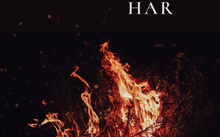 Metin Yazgaç - Har
