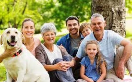 Aile İlişkileri ve Karmaşık Sorular