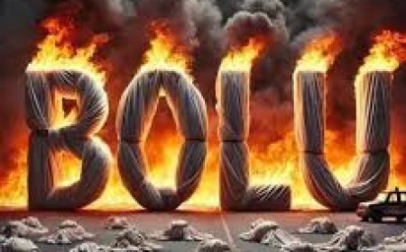 Yüreğimize Düşen Yangın:Bolu