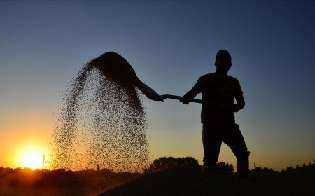 Sabahın İlk Işıkları