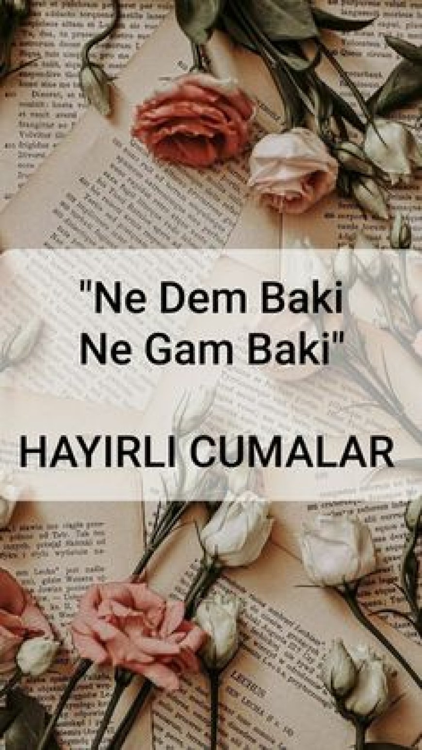 Hayırlı cumalar 