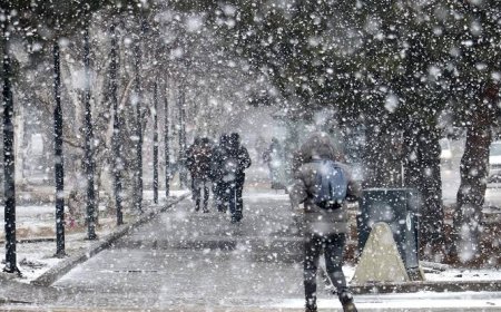 Soğuk Akşamların Büyüsü