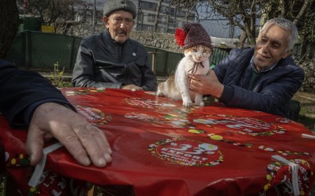 Vicdan ve Merhametin Beden Bulmuş Hali: Göztepe Semiha Şakir Huzurevi!