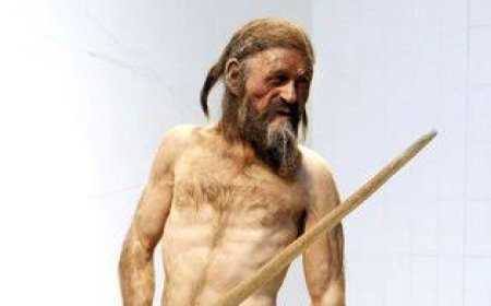 Ötzi : Buz Adam Ötztal Alpler'in Gizemi