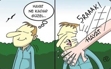 6 Kural ve  Kolay Bir Hayat!