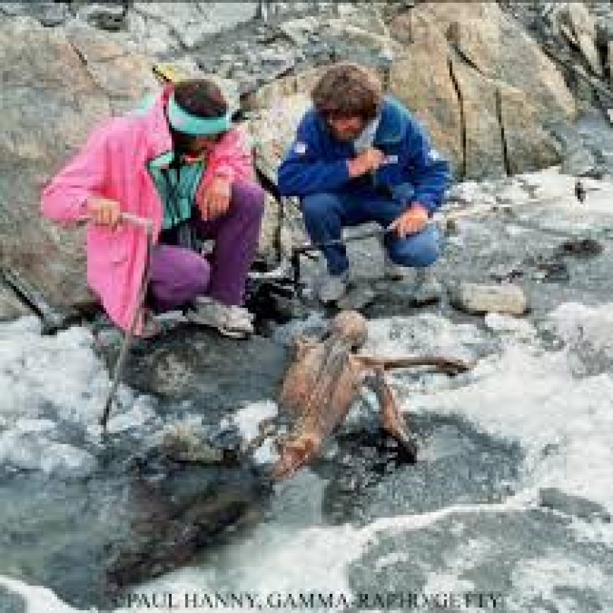 Ötzi : Buz Adam Ötztal Alpler'in Gizemi