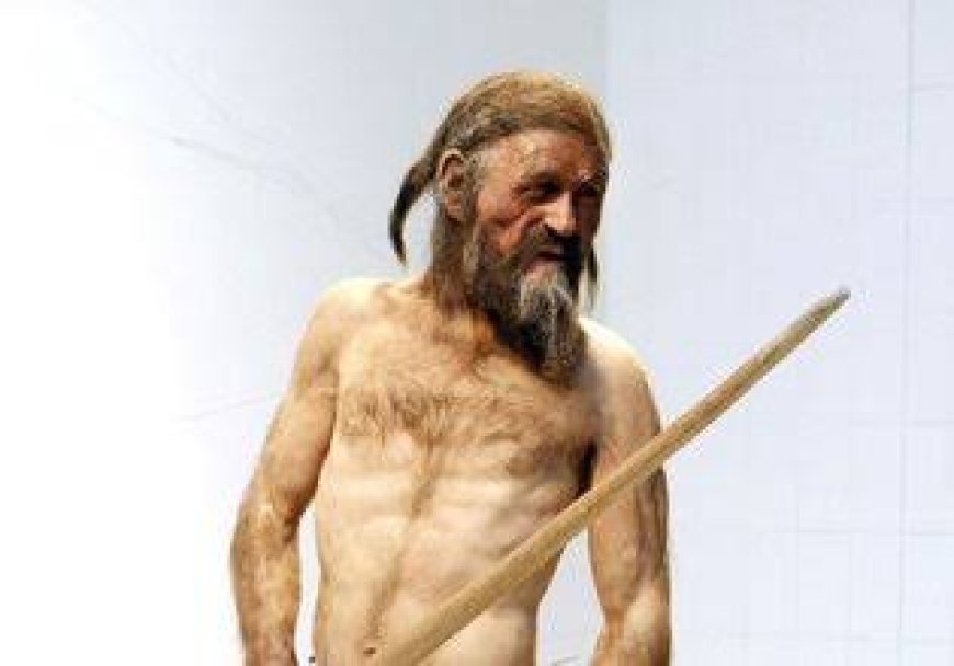 Ötzi : Buz Adam Ötztal Alpler'in Gizemi