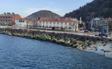 Şirin Ayancık'ta Romantik Aşk Hikayesi